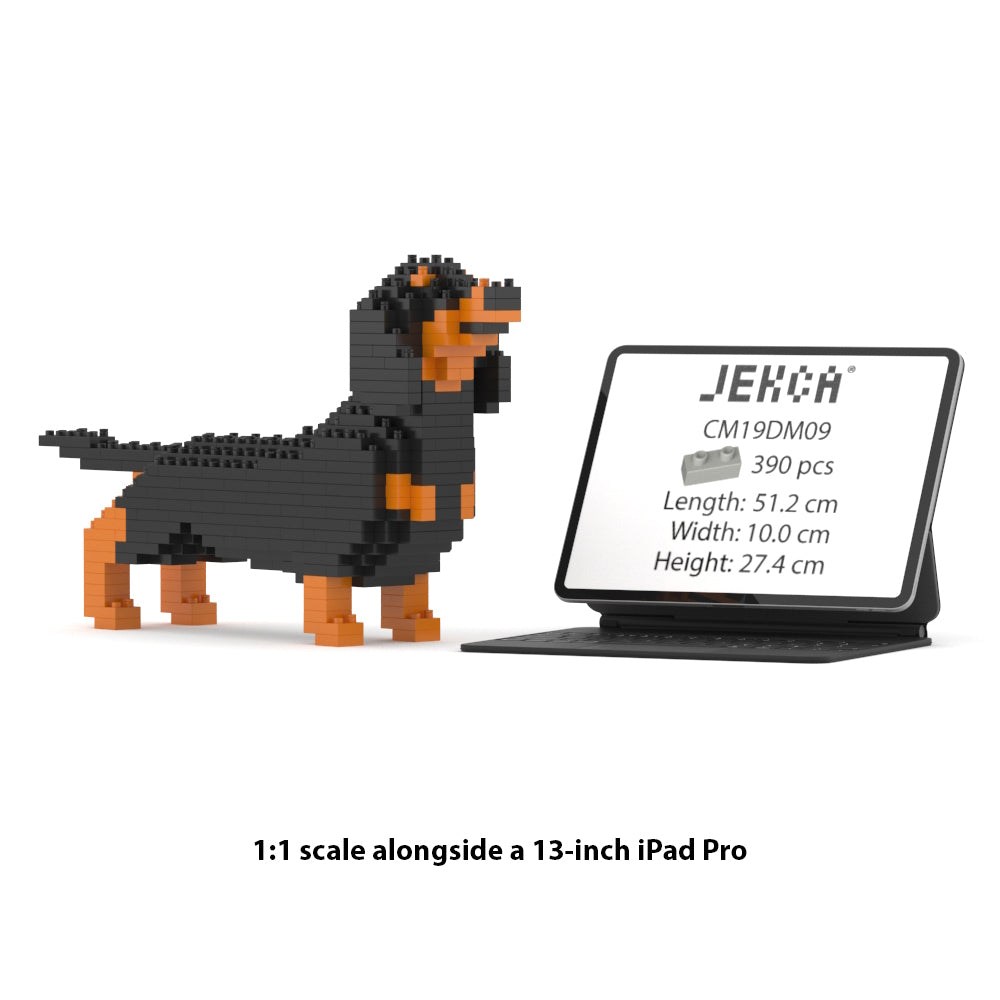 Dachshund Mini 01S