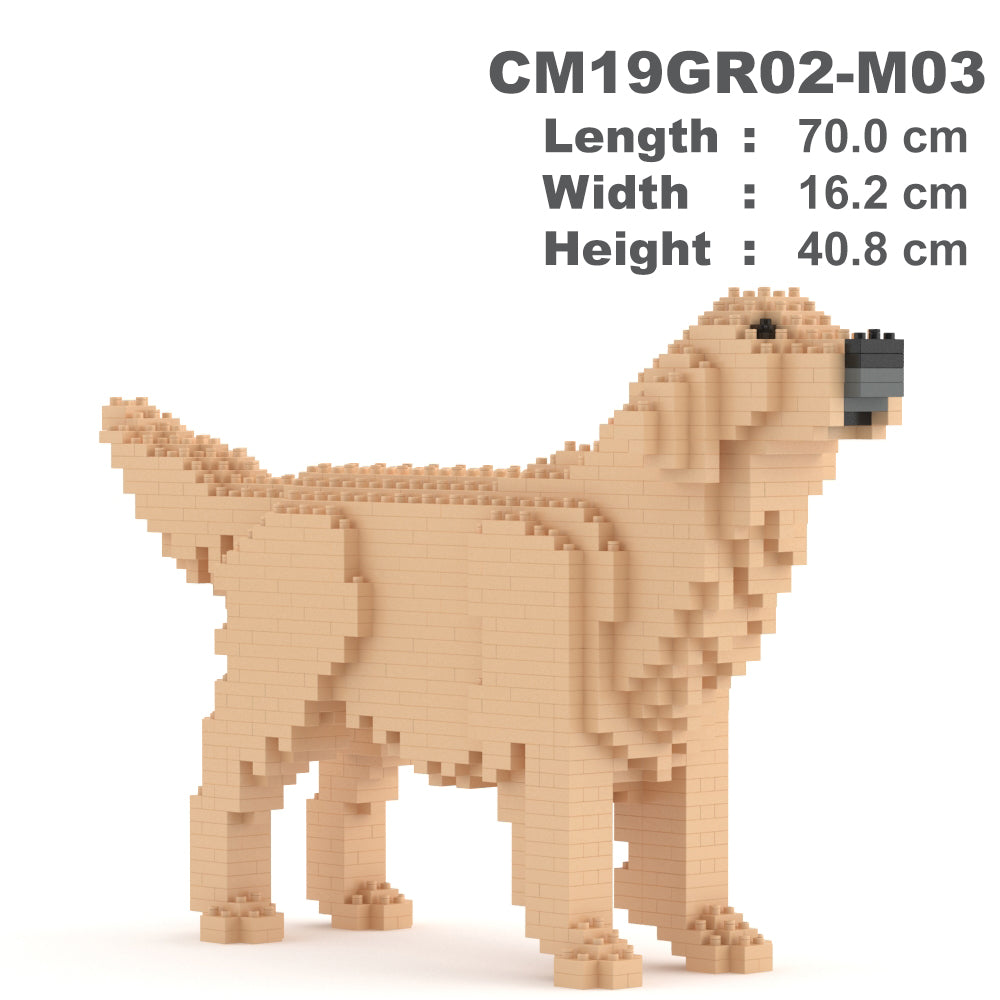 Golden Retriever 02-M03