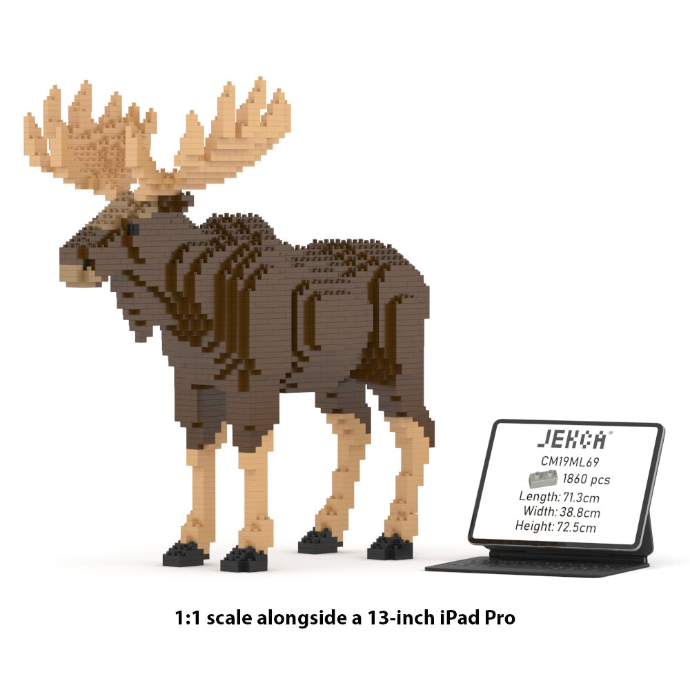 Moose 01