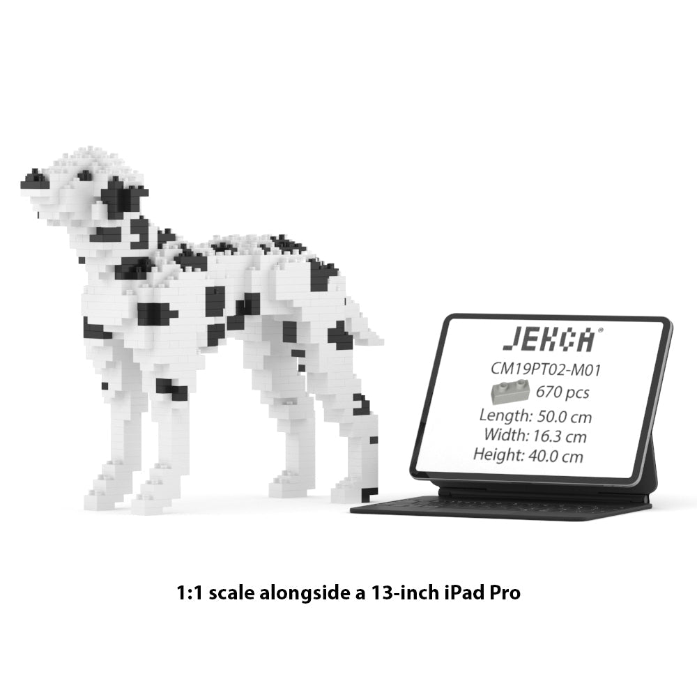Dalmatian 01-M01