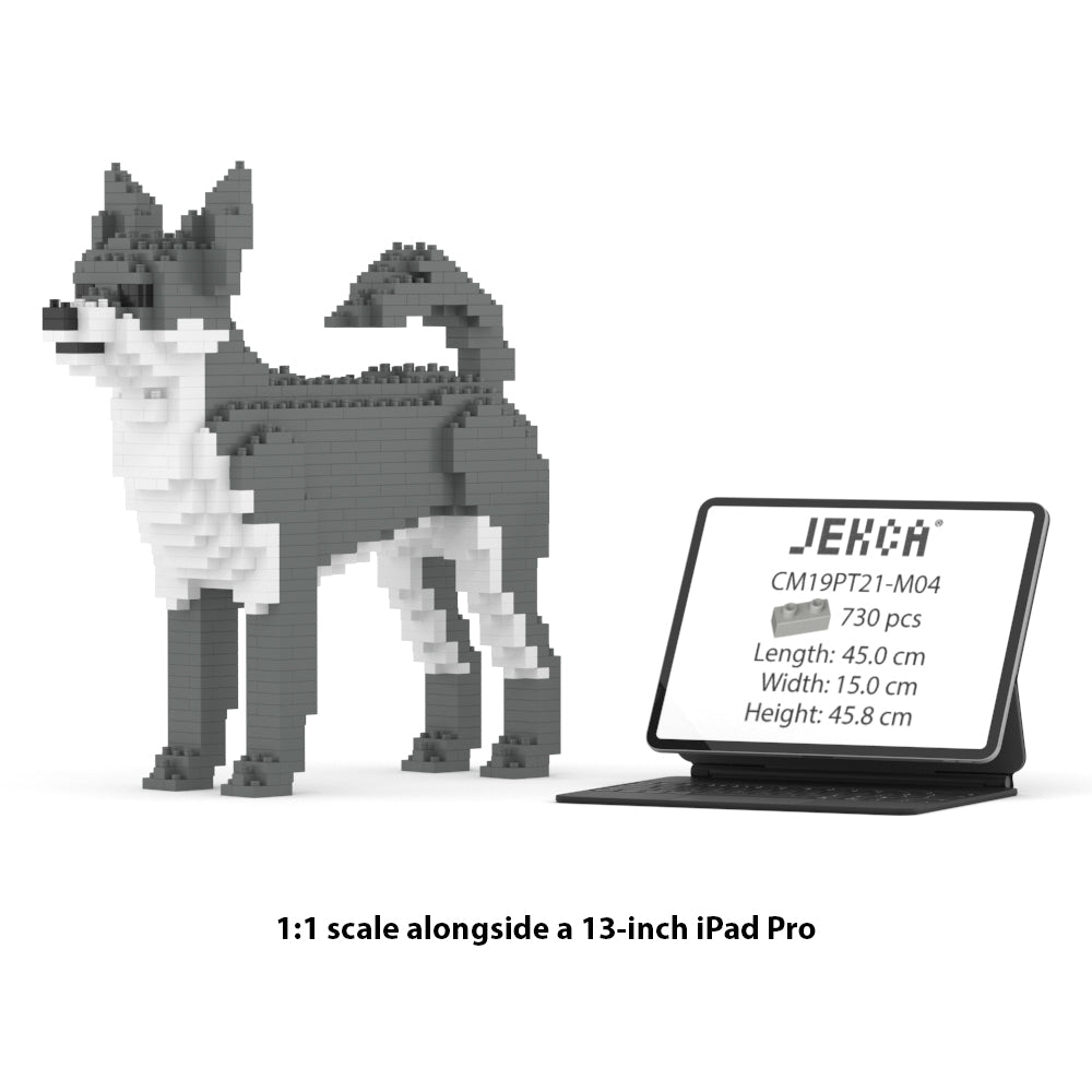 Chihuahua 01-M04