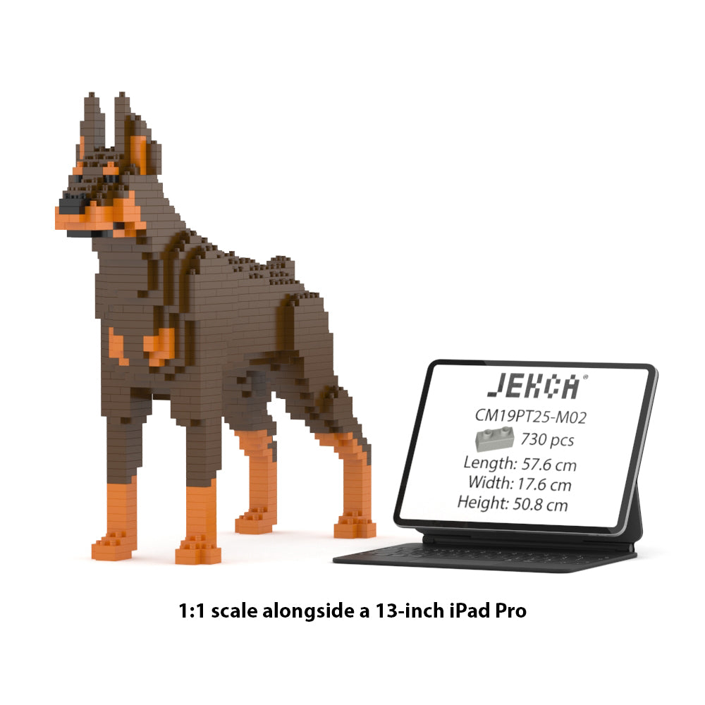 Doberman Pinscher 01-M02