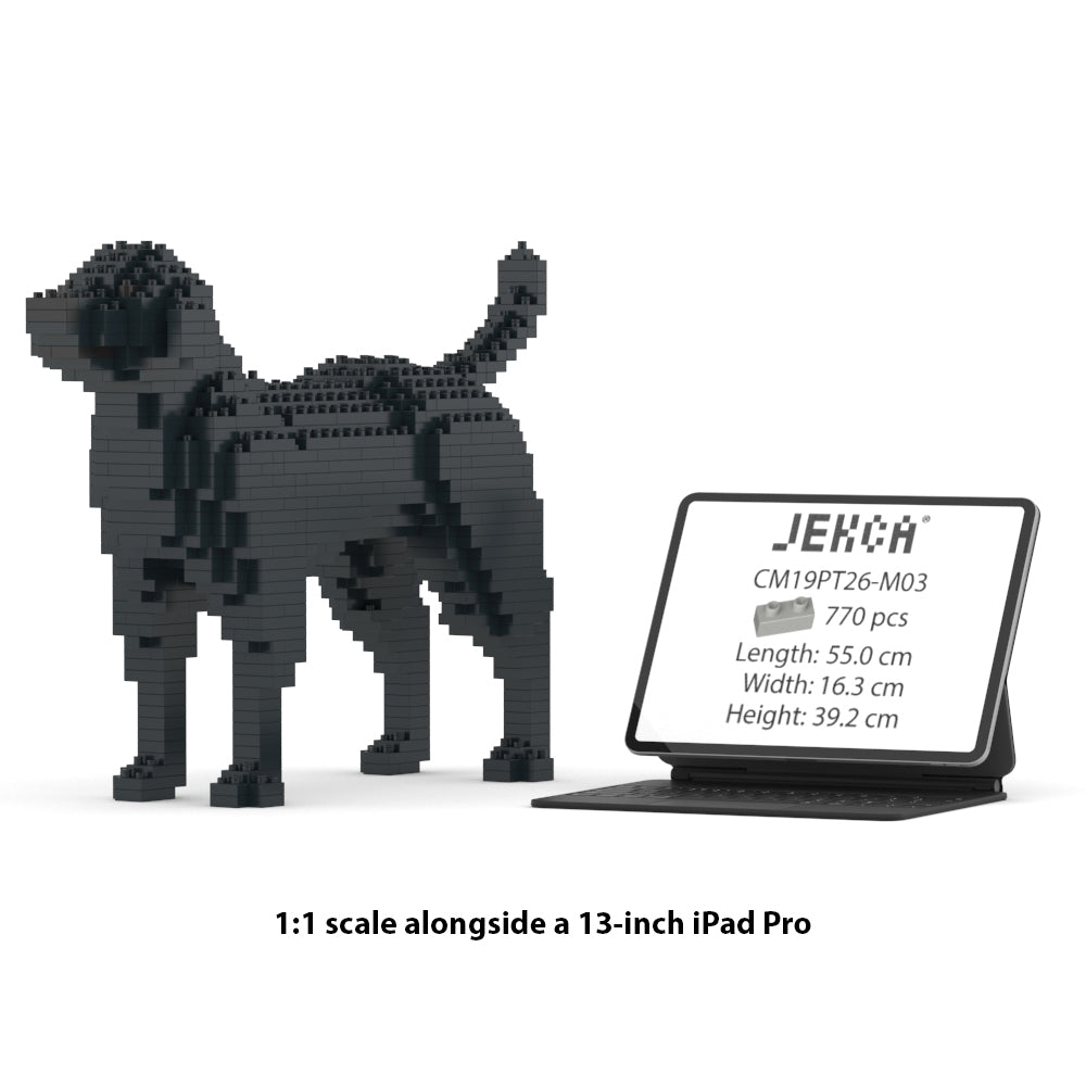 Labrador Retriever 01-M03