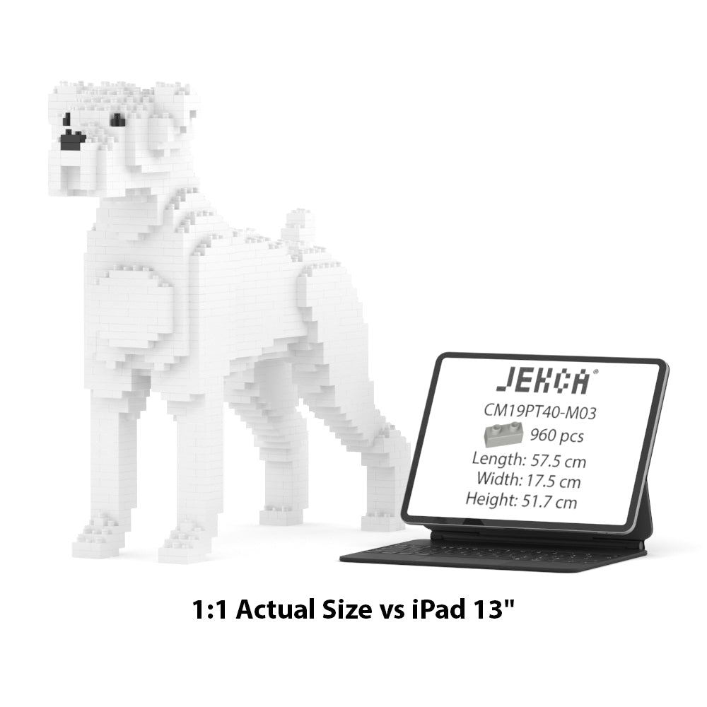 Boxer 01-M03