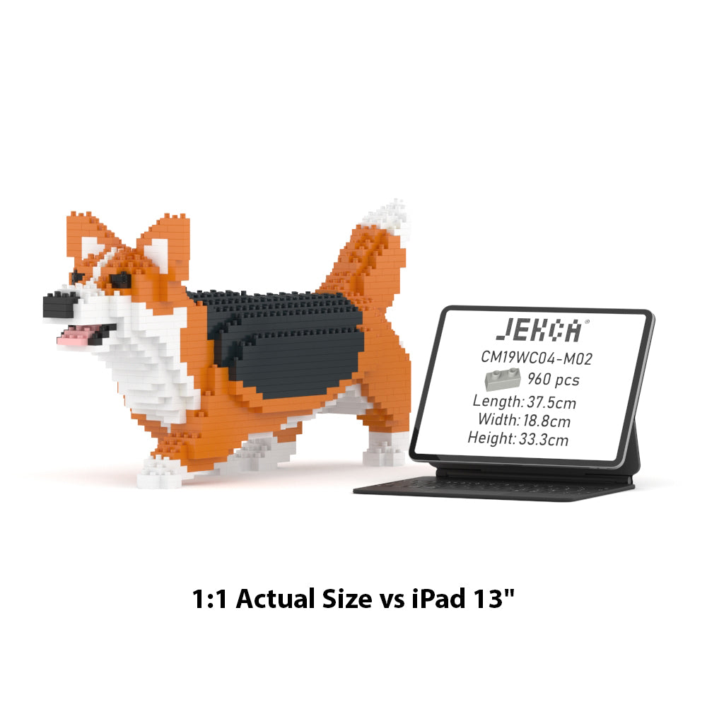 Welsh Corgi 04-M02