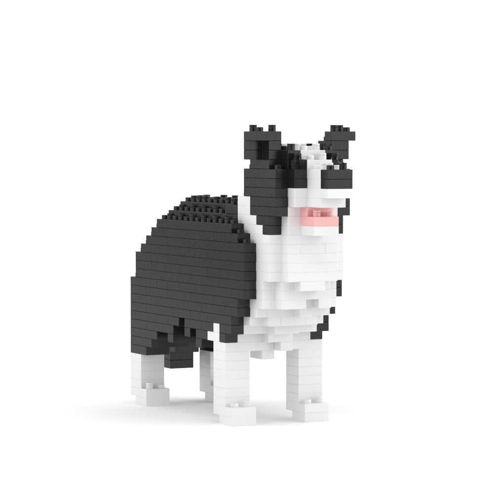 Border Collie Mini 01S