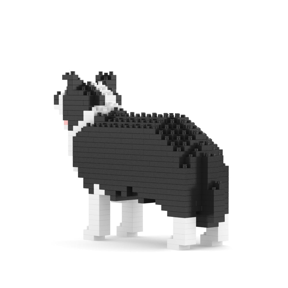 Border Collie Mini 01S