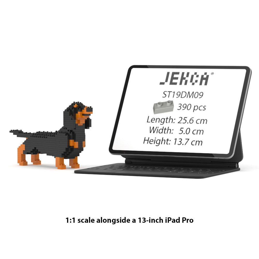 Dachshund Mini 01S