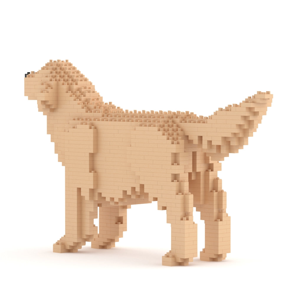 Golden Retriever 02-M03