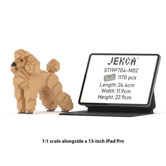 Standard Poodle 01-M02