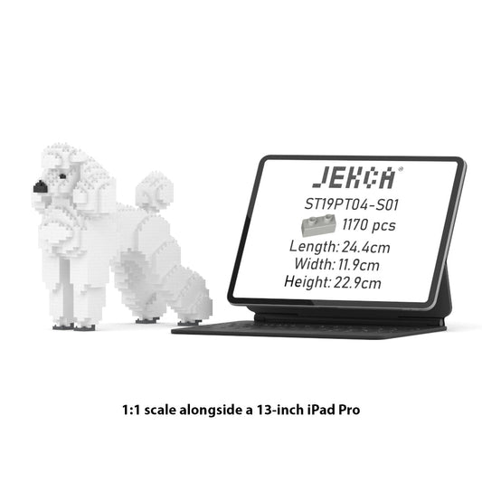 Standard Poodle 01-S01