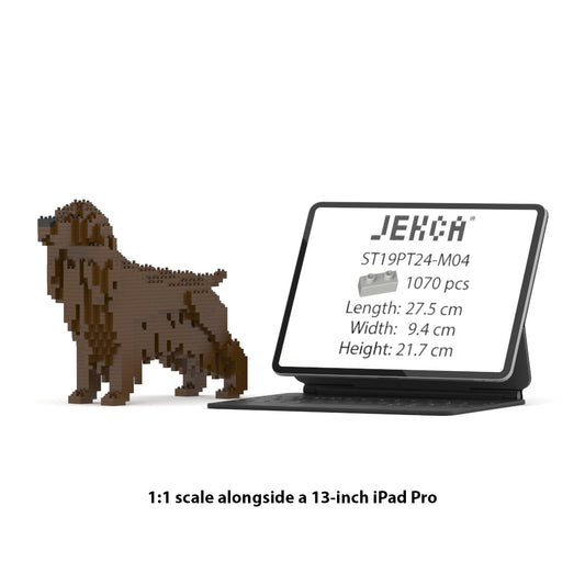 English Cocker Spaniel 01-M04