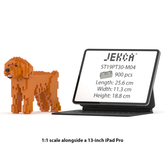 Toy Poodle 01-M04