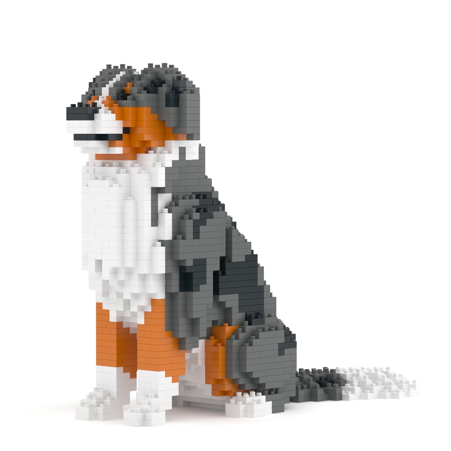 Australian Shepherd 01-M01