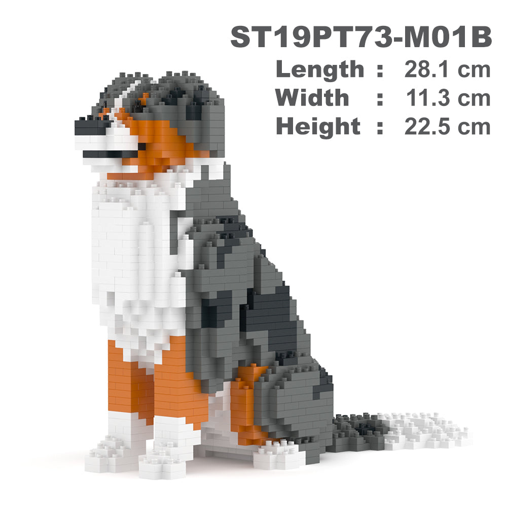 Australian Shepherd 01-M01 (Version 2024)