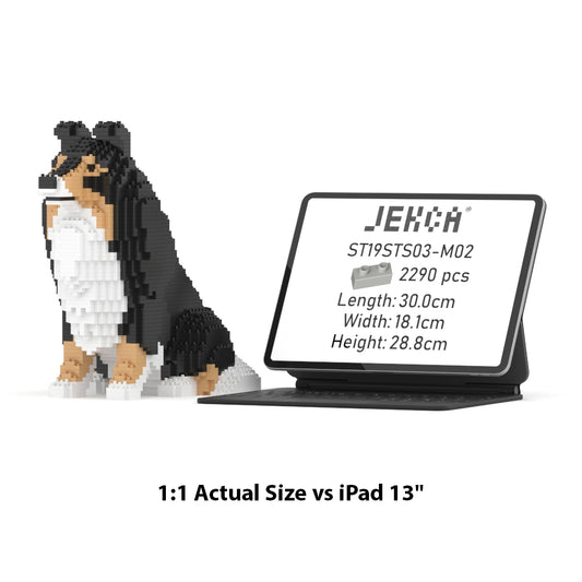 Shetland Sheepdog 03-M02