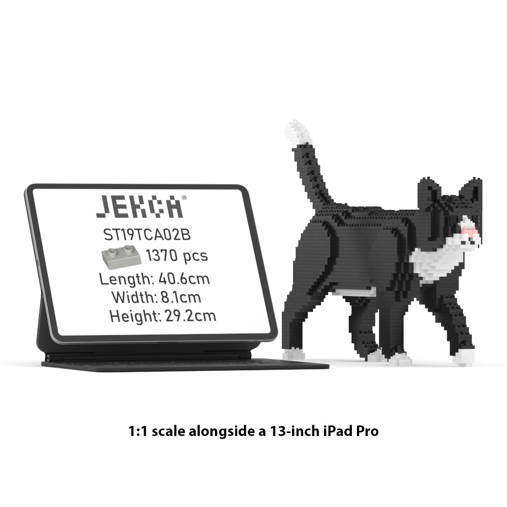 Tuxedo Cat 02SB
