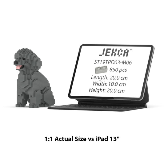 Toy Poodle 03-M06