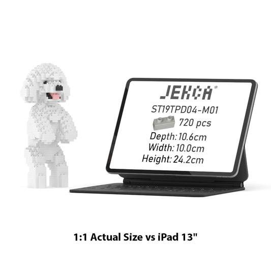 Toy Poodle 04-M01