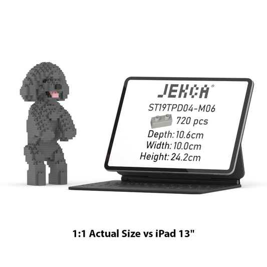 Toy Poodle 04-M06