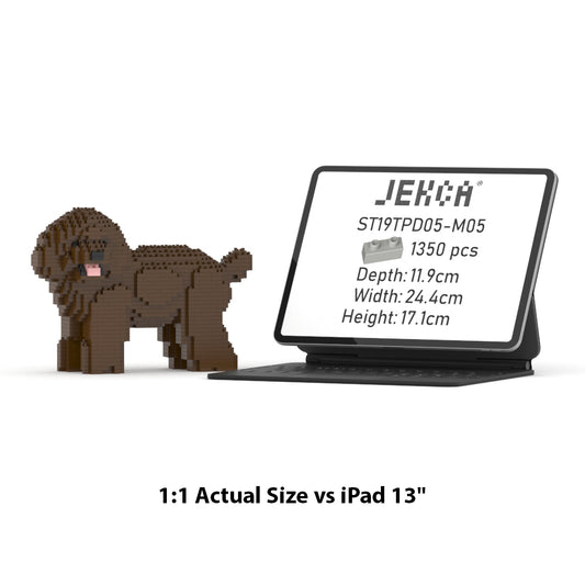 Toy Poodle 05-M05