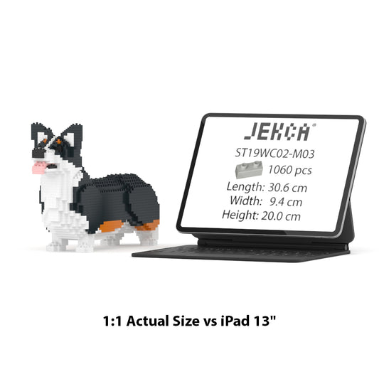Welsh Corgi 02-M03