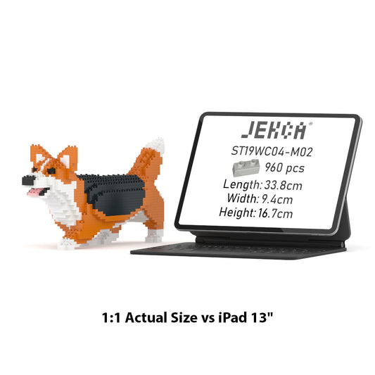 Welsh Corgi 04-M02