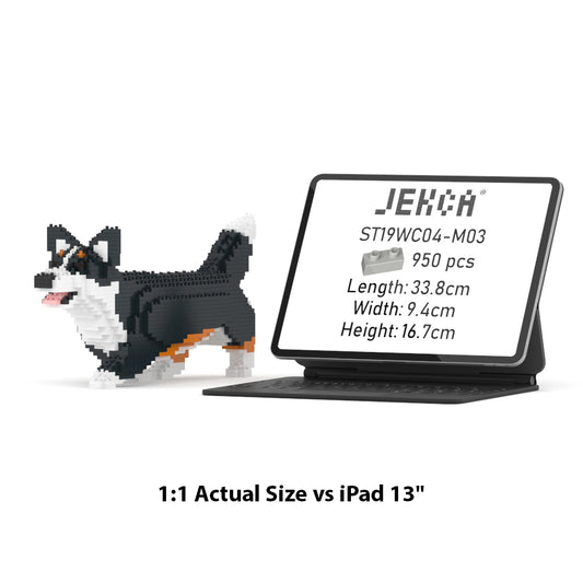 Welsh Corgi 04-M03
