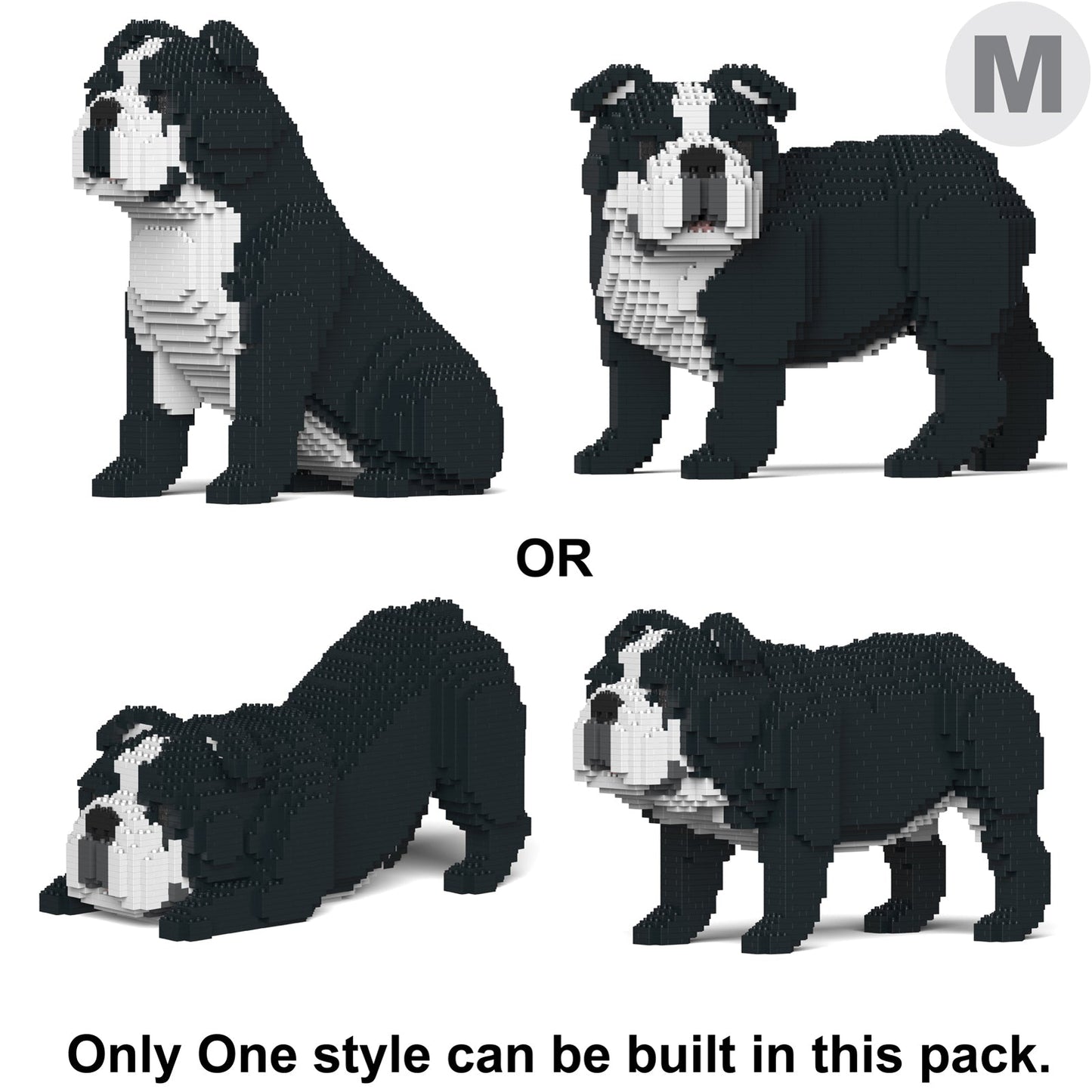 English Bulldog 4-in-1 Pack 01-M04