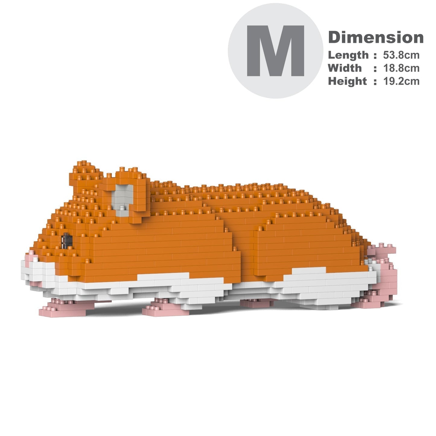 Hamster 03-M03