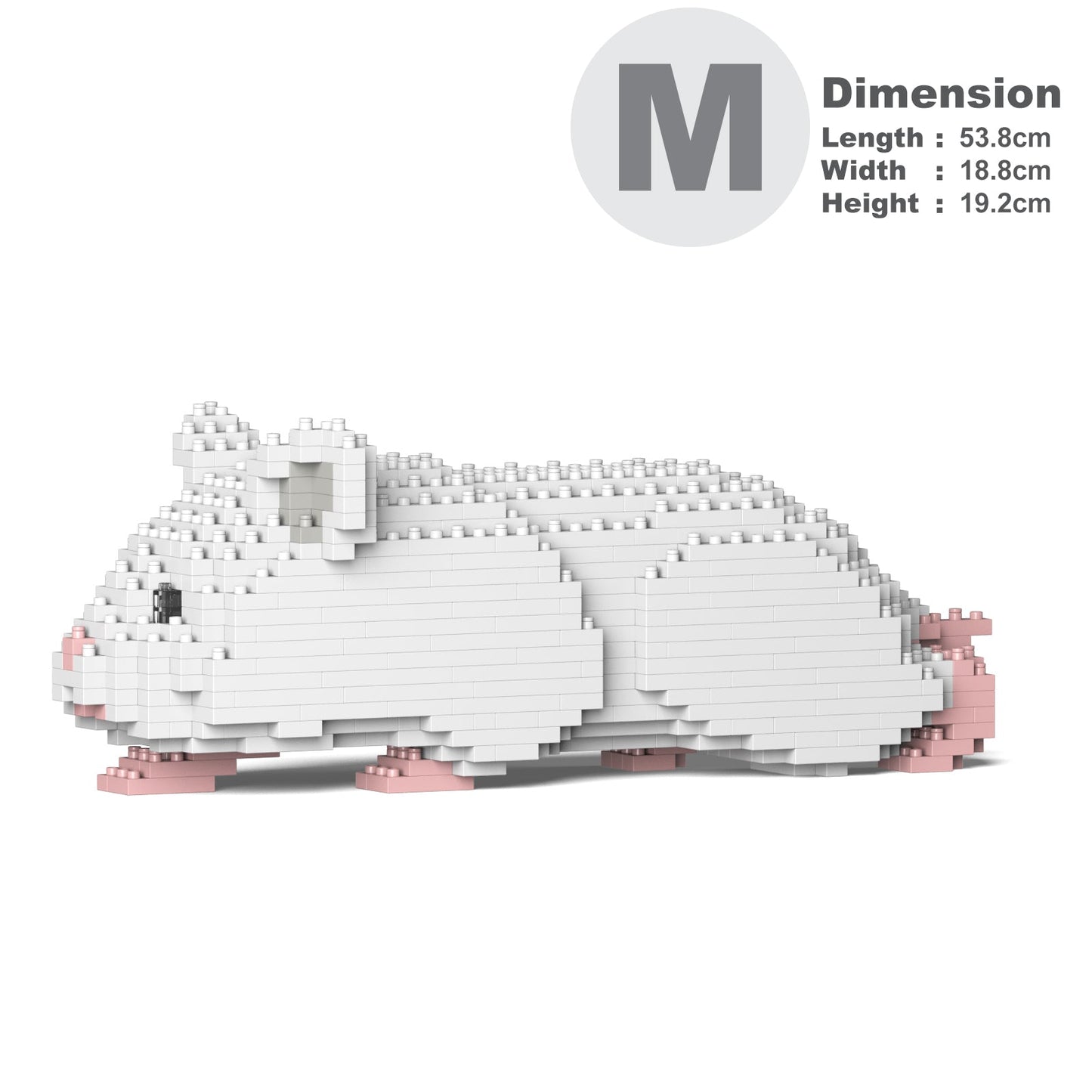 Hamster 03-M04