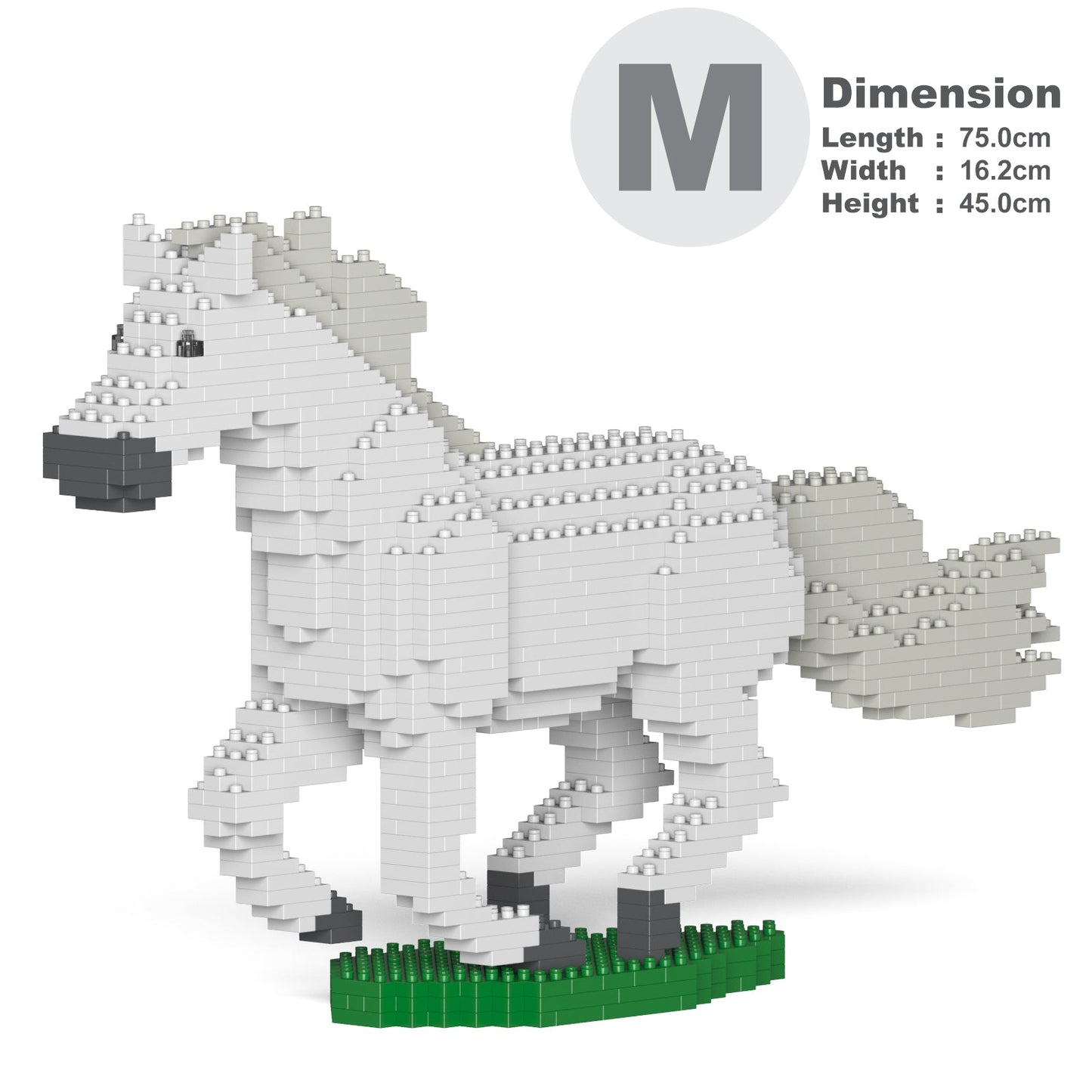 Horse 01-M02