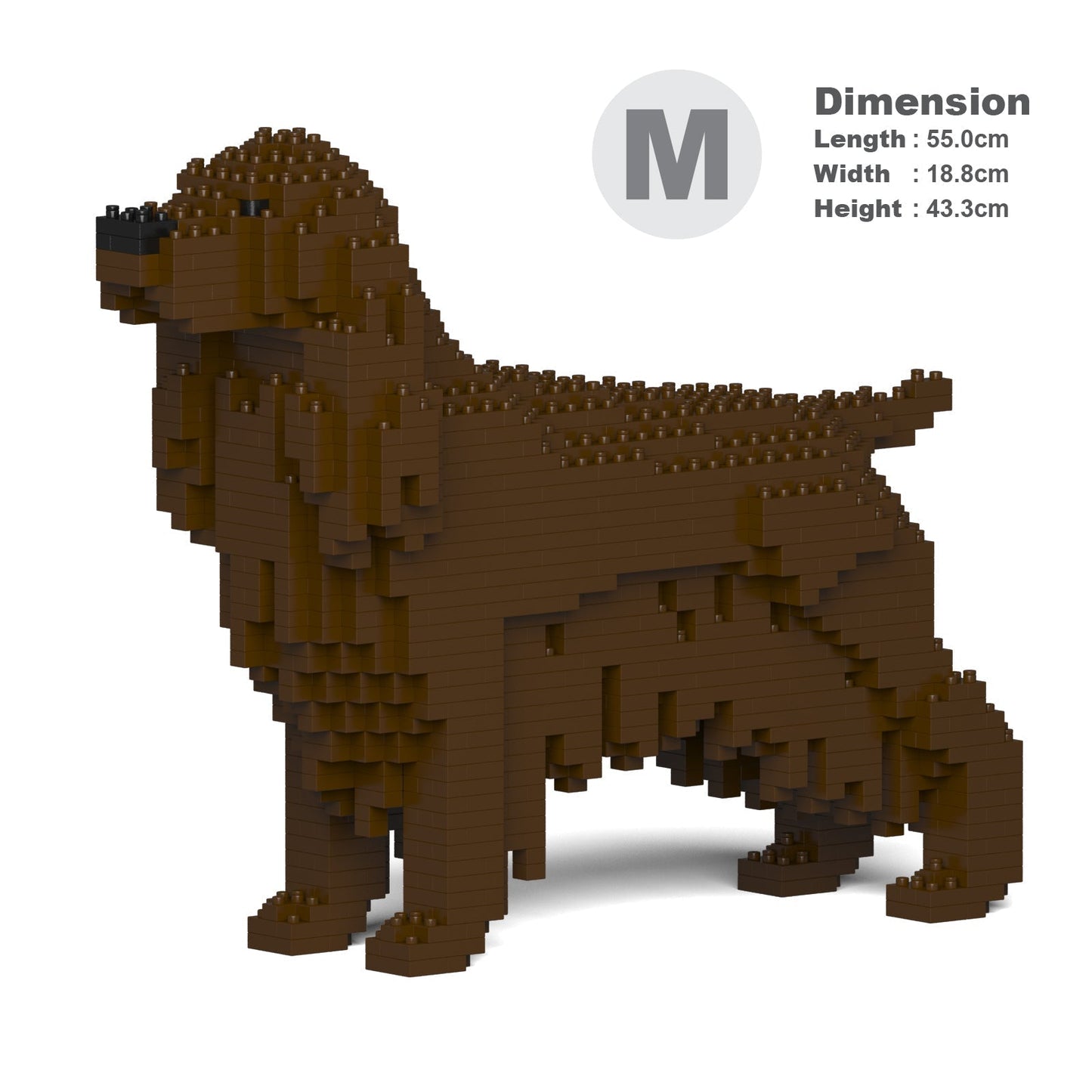 English Cocker Spaniel 01-M04