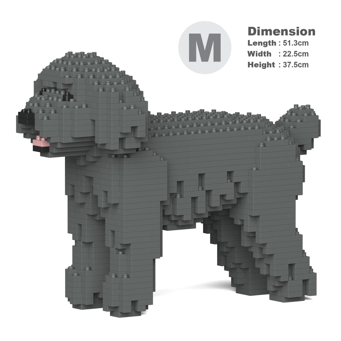 Toy Poodle 01-M06