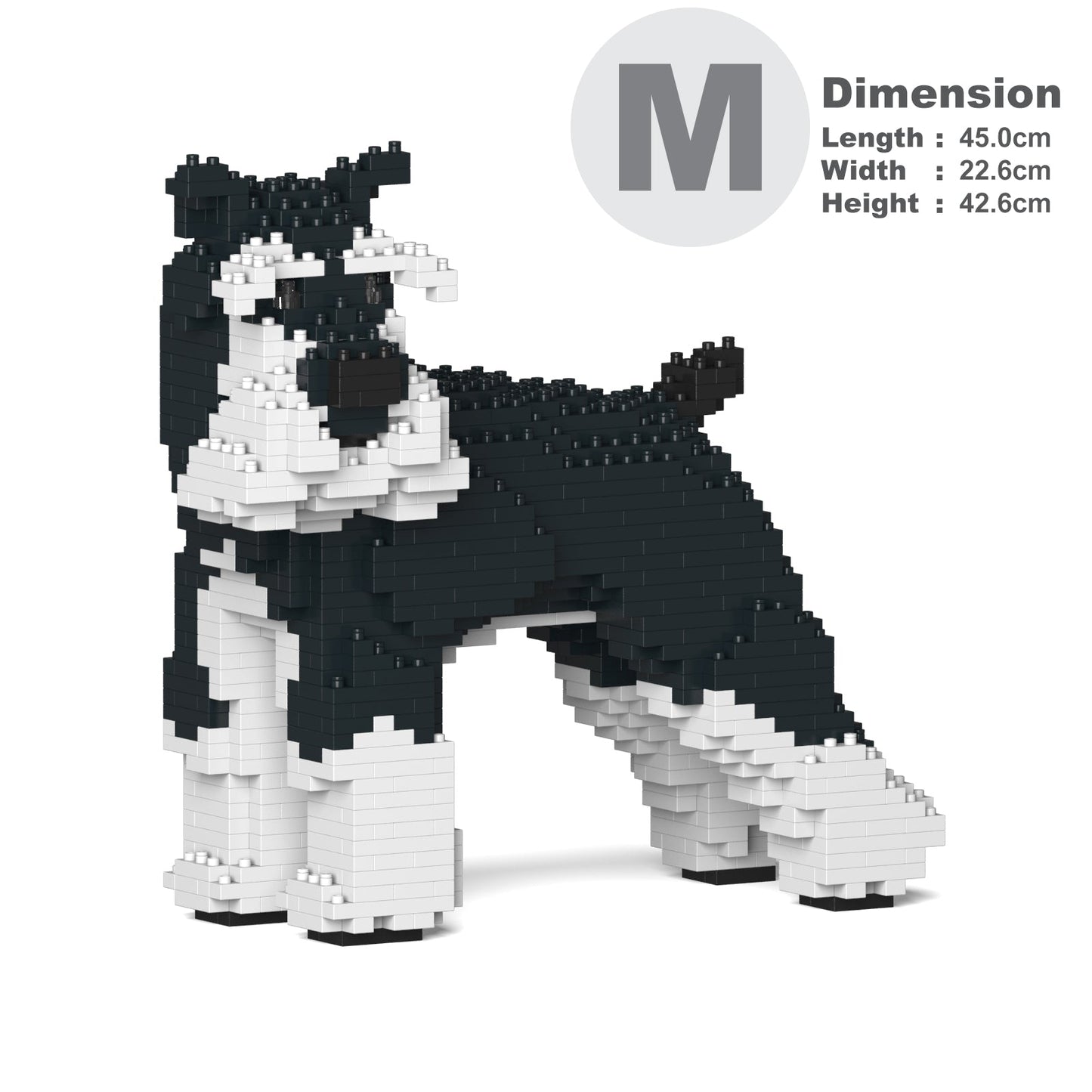 Standard Schnauzer 02-M02