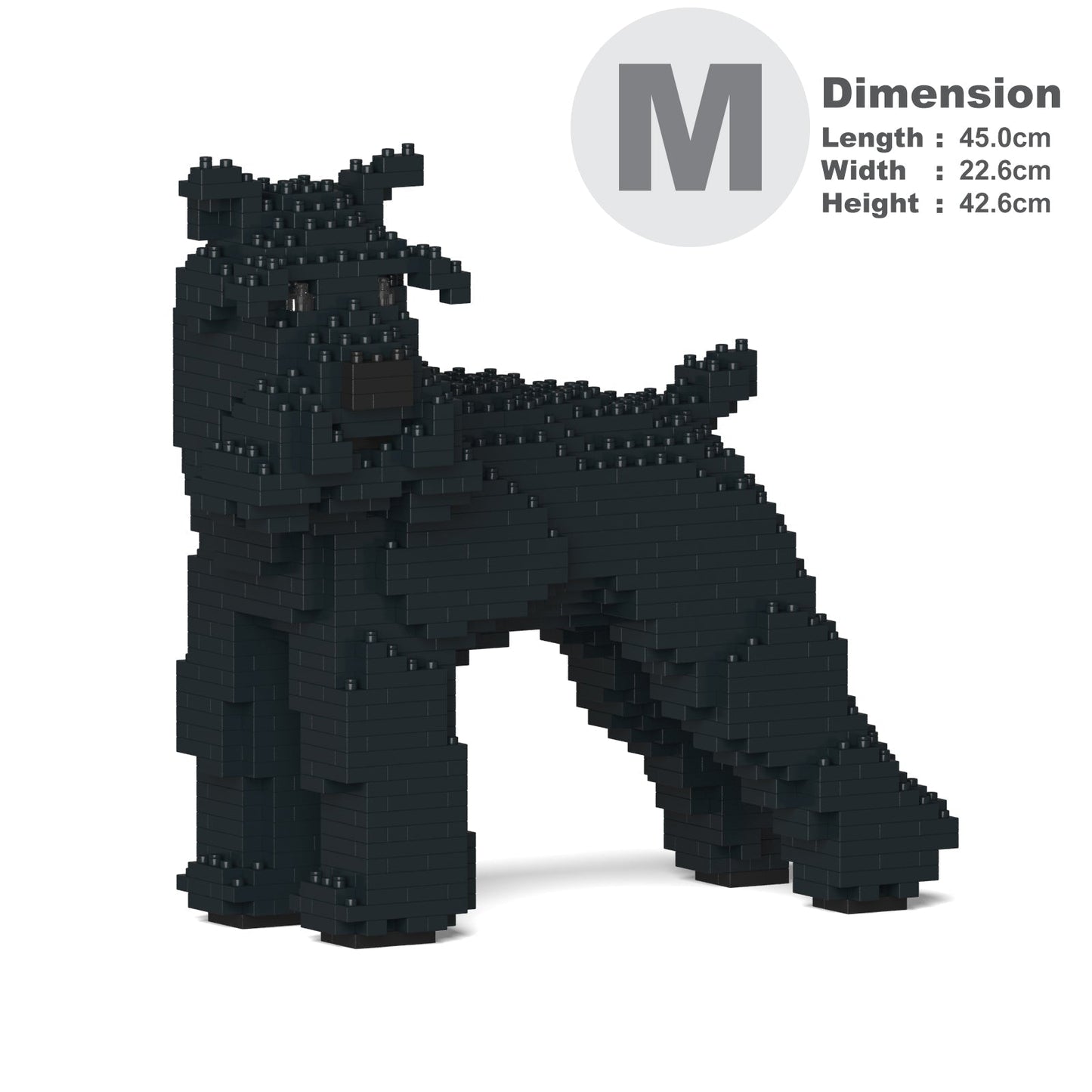 Standard Schnauzer 02-M03