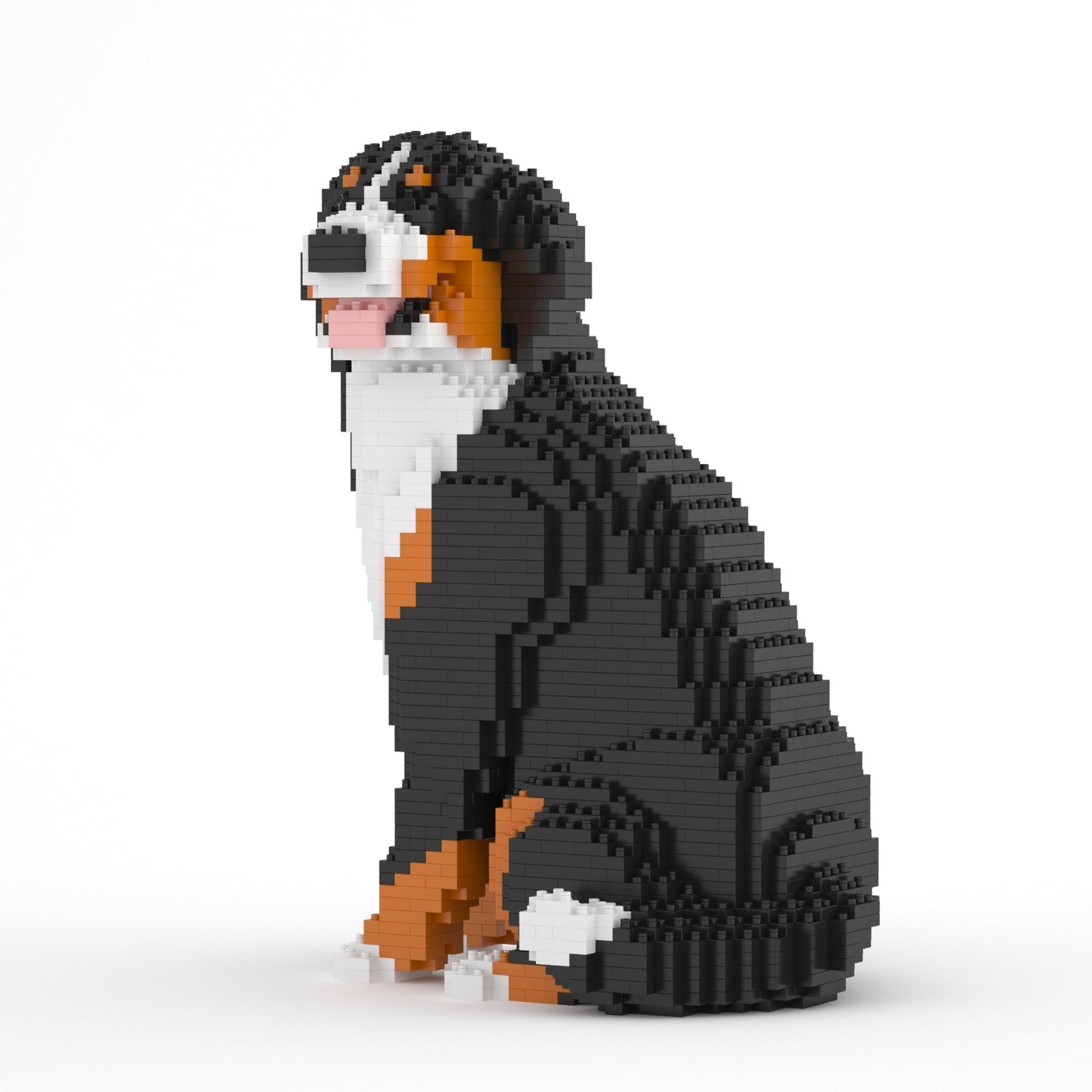 Bernese Mountain Dog 05B (version 2024)