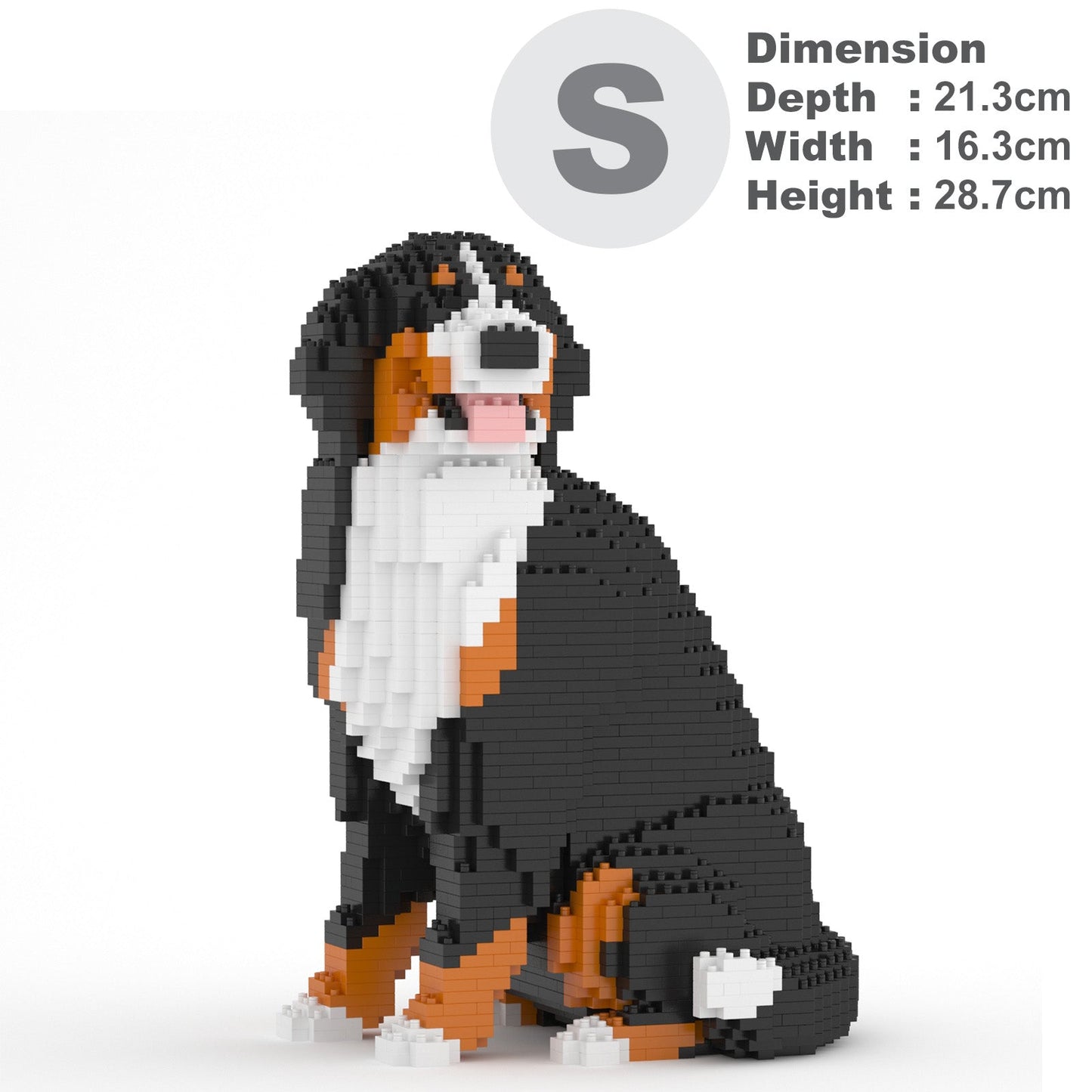 Bernese Mountain Dog 05B (version 2024)