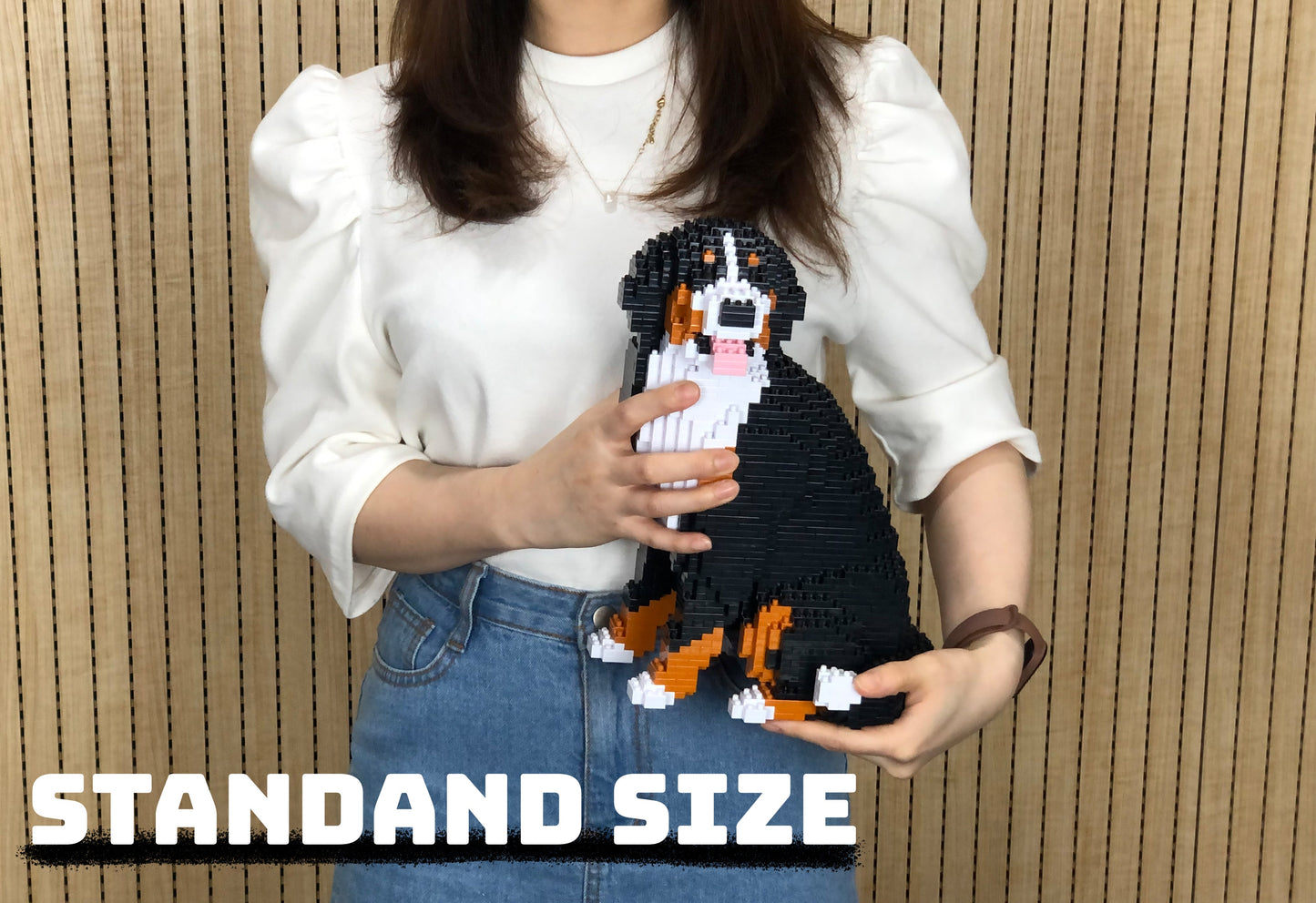 Bernese Mountain Dog 05B (version 2024)