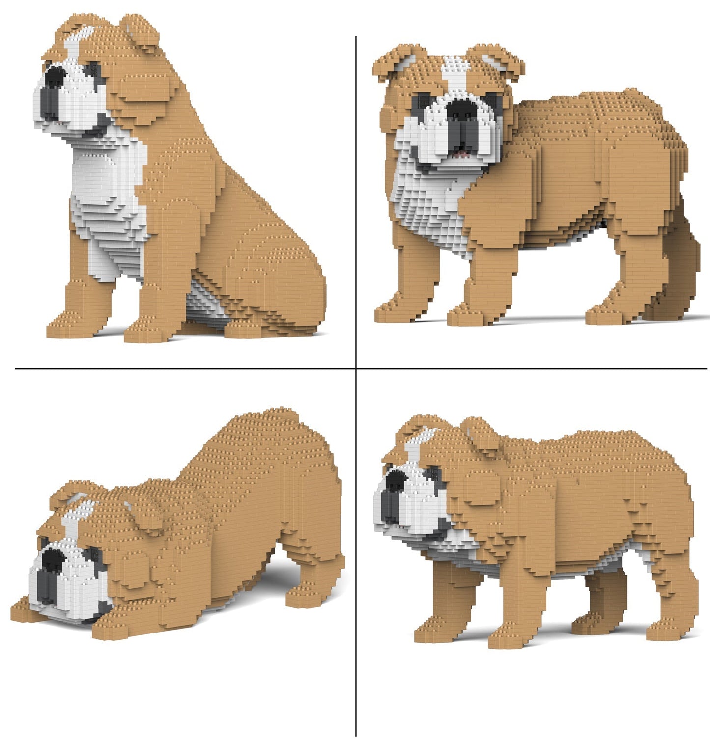 English Bulldog 4-in-1 Pack 01-M03