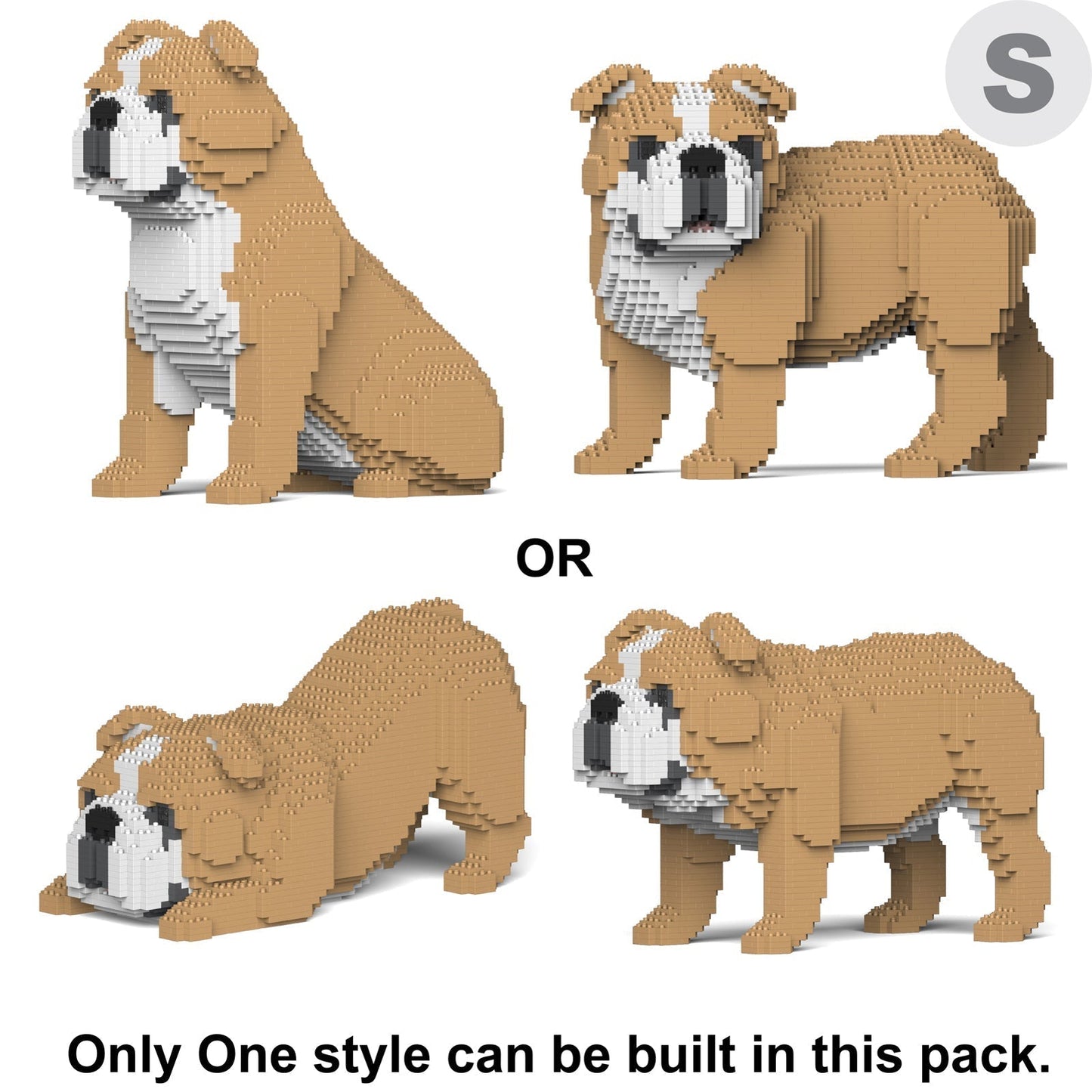 English Bulldog 4-in-1 Pack 01-M03