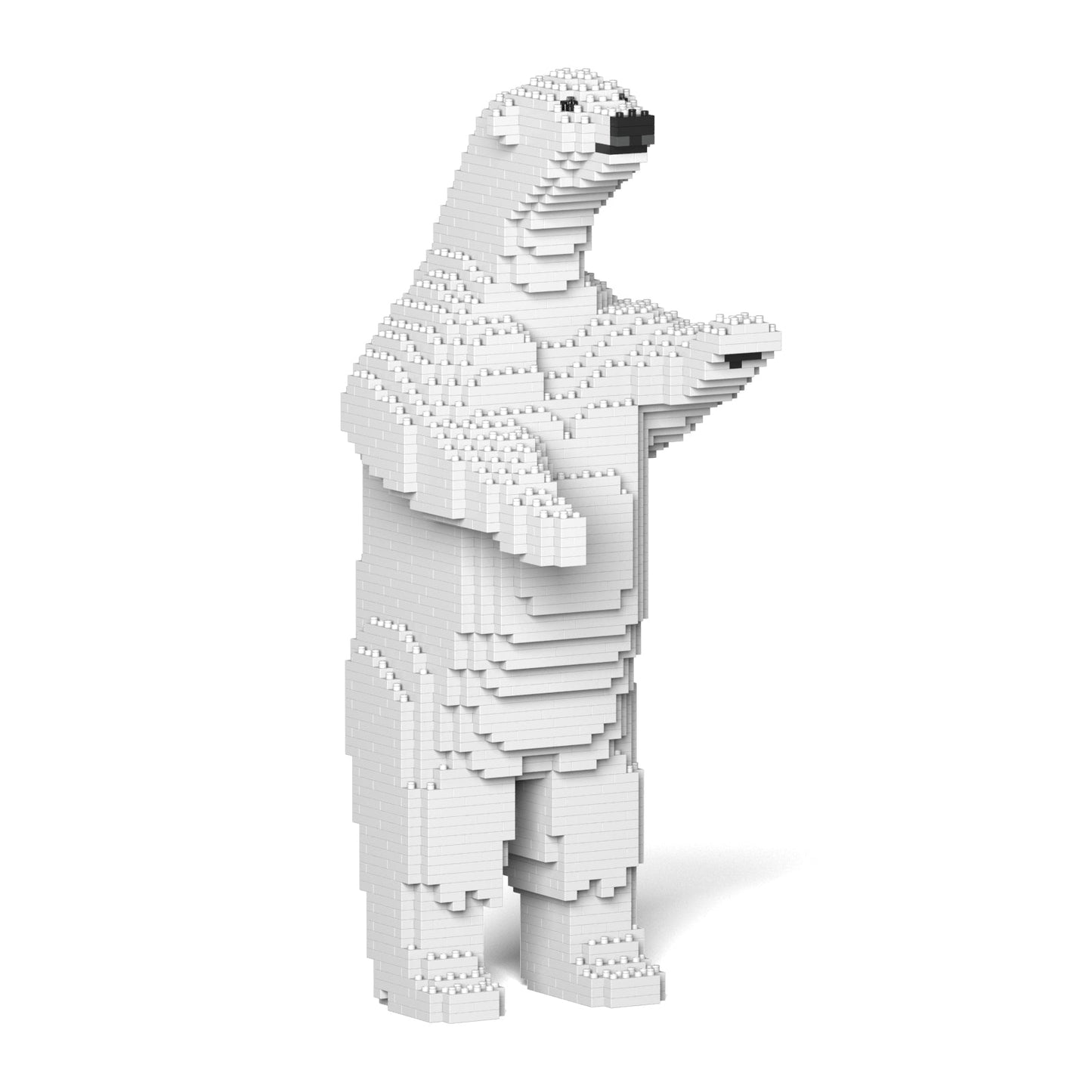 Polar Bear 02