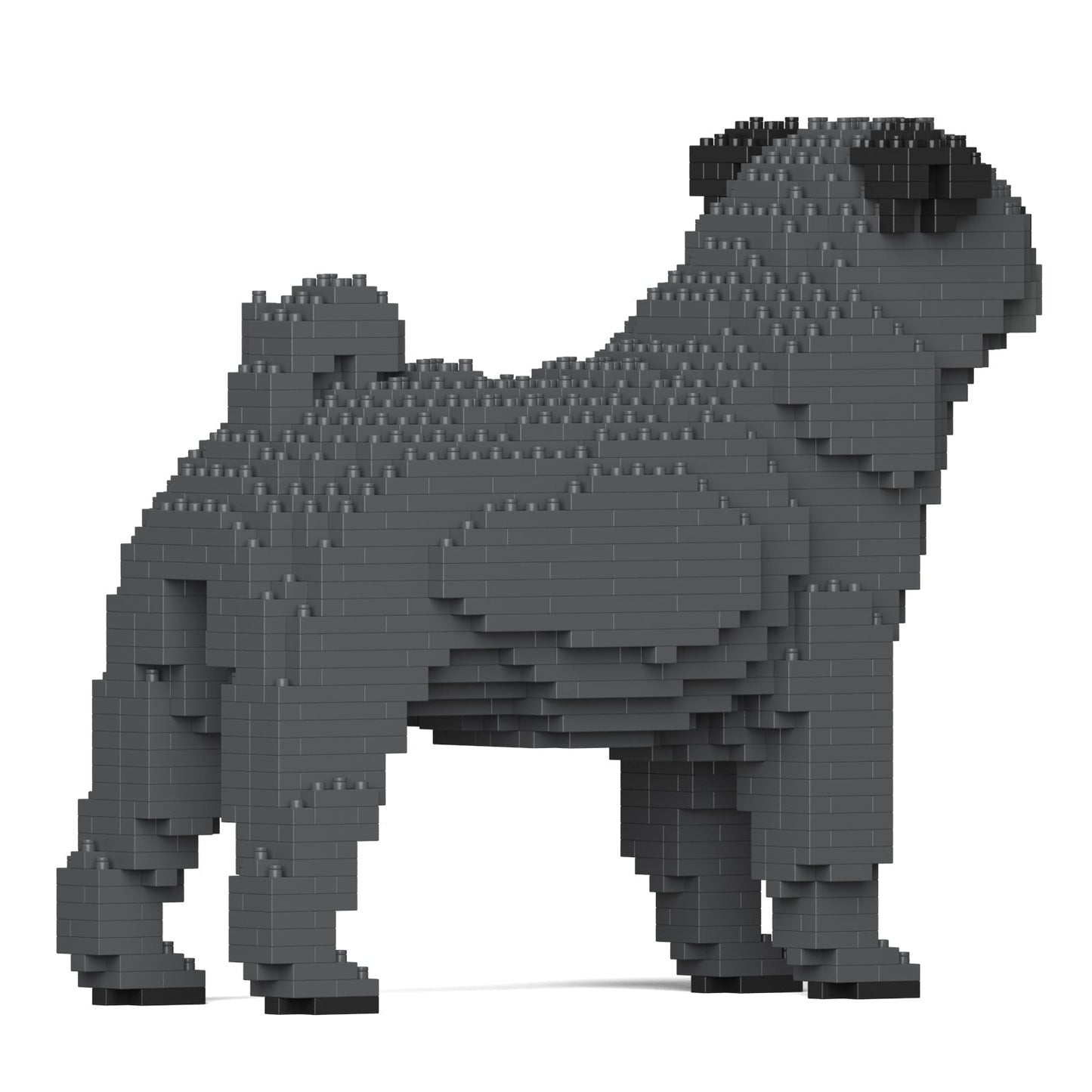 Pug 01-M04