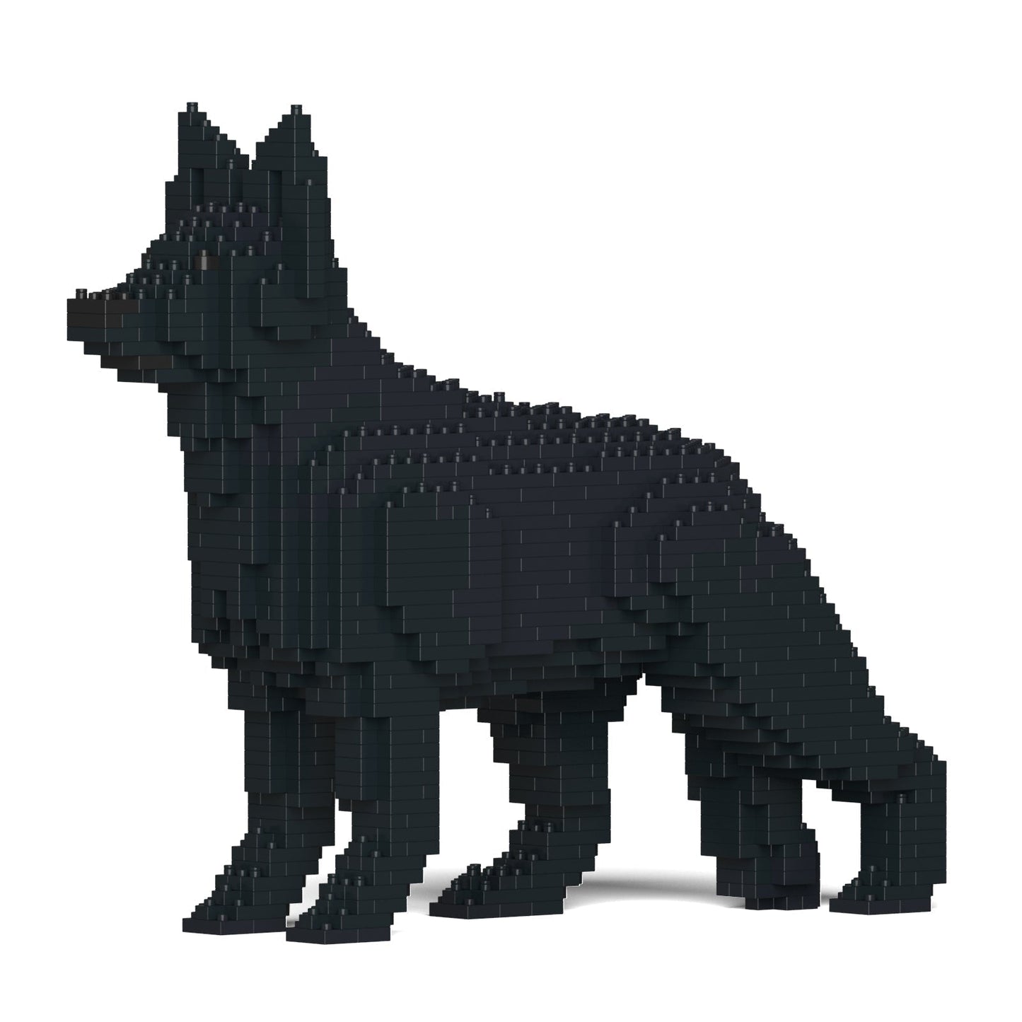 German Shepherd 01-M03