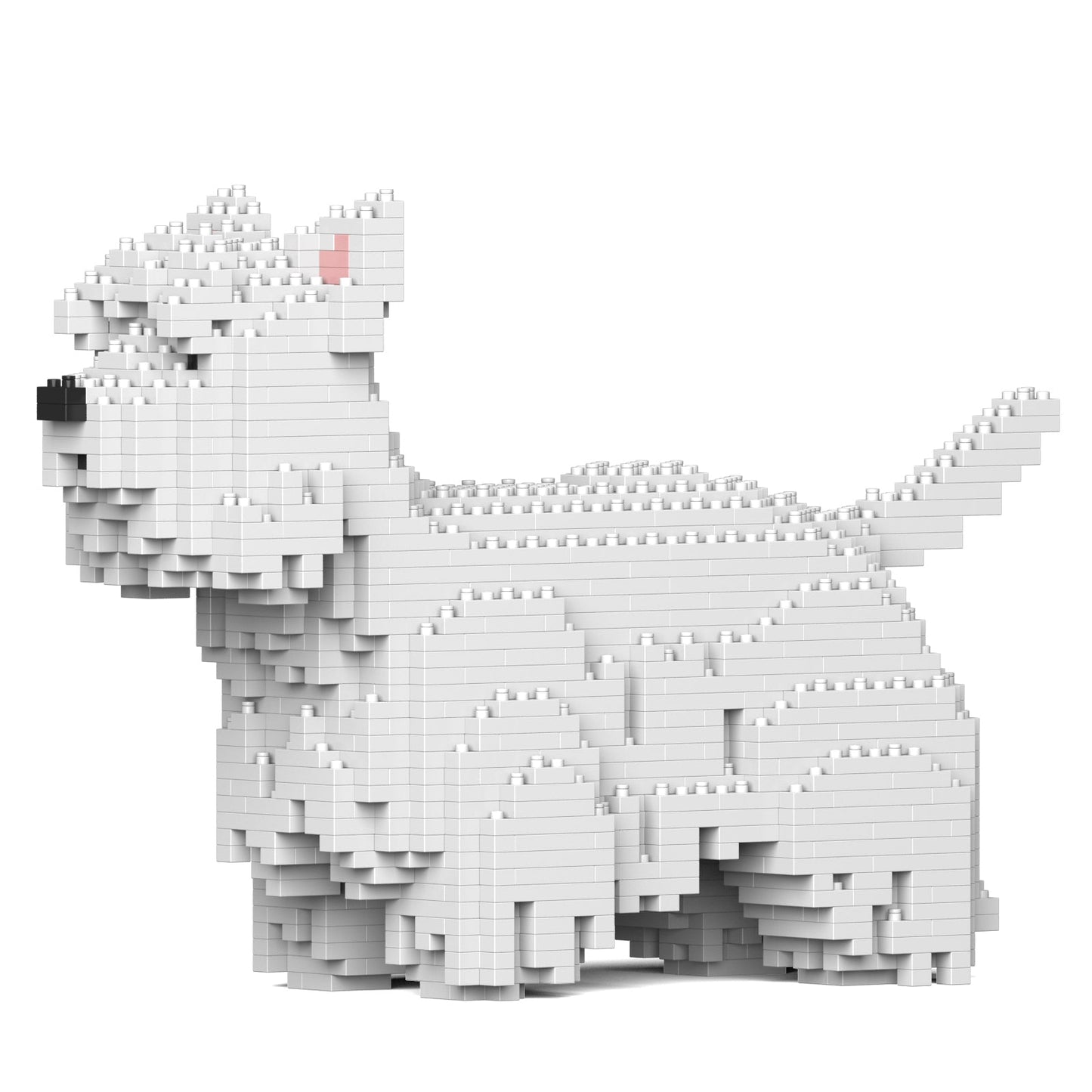 West Highland White Terrier 01