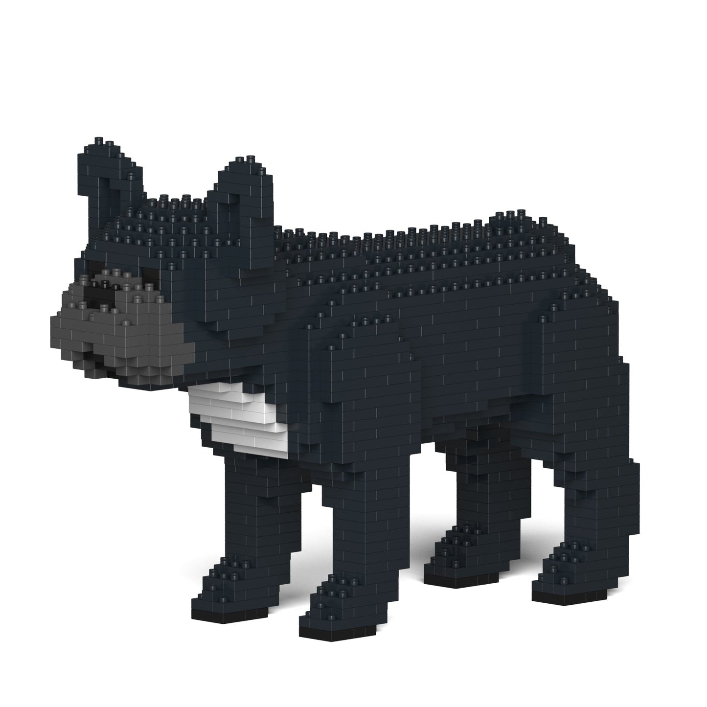 French Bulldog 01S-M03