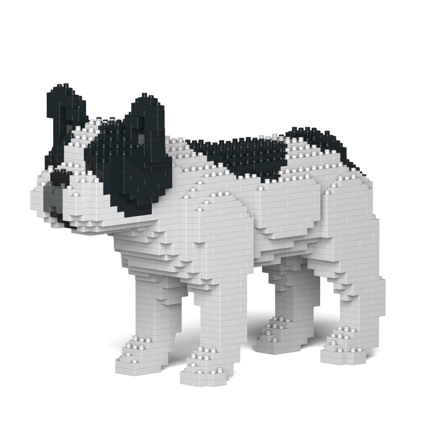 French Bulldog 01S-M04