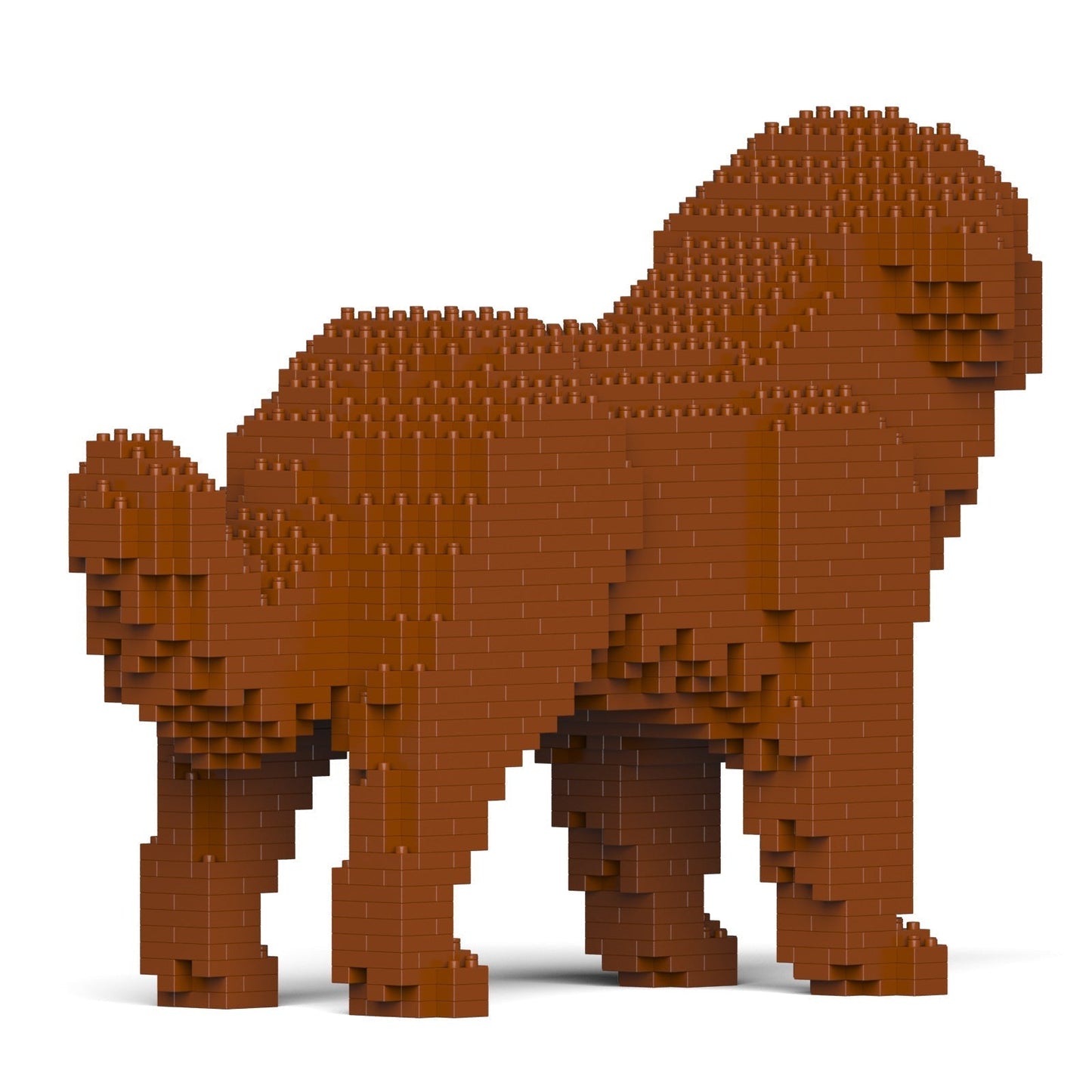 Newfoundland Dog 01-M01