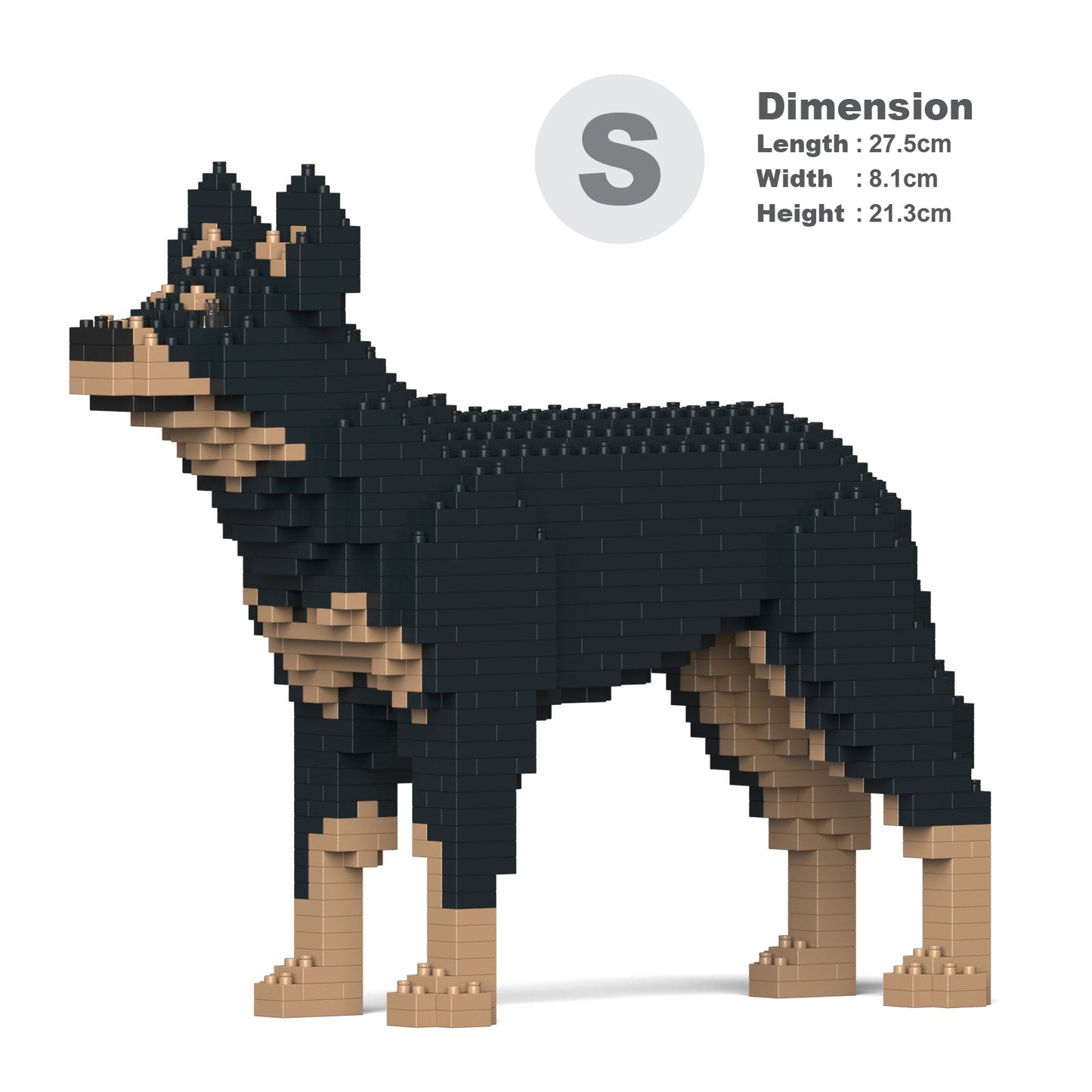 Australian Kelpie 01-M01