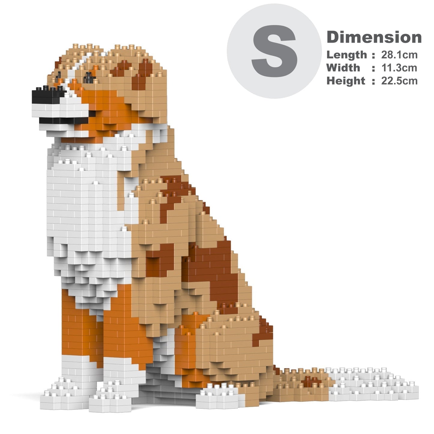 Australian Shepherd 01-M02